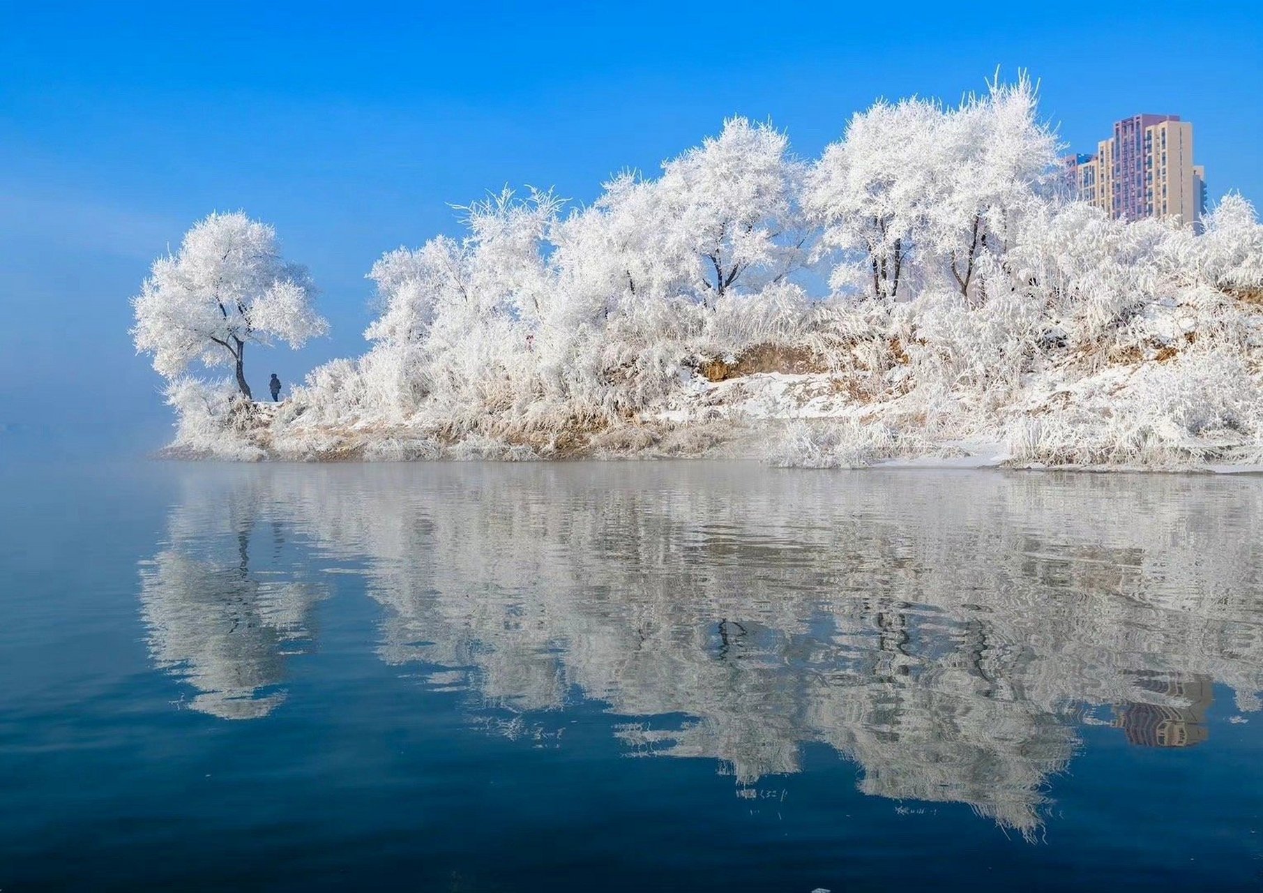吉林之声，播音稿里的家乡情怀