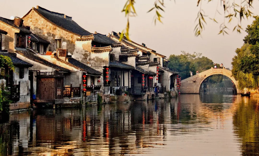 浙江印象，绿意盎然的人间仙境🌿🏞️