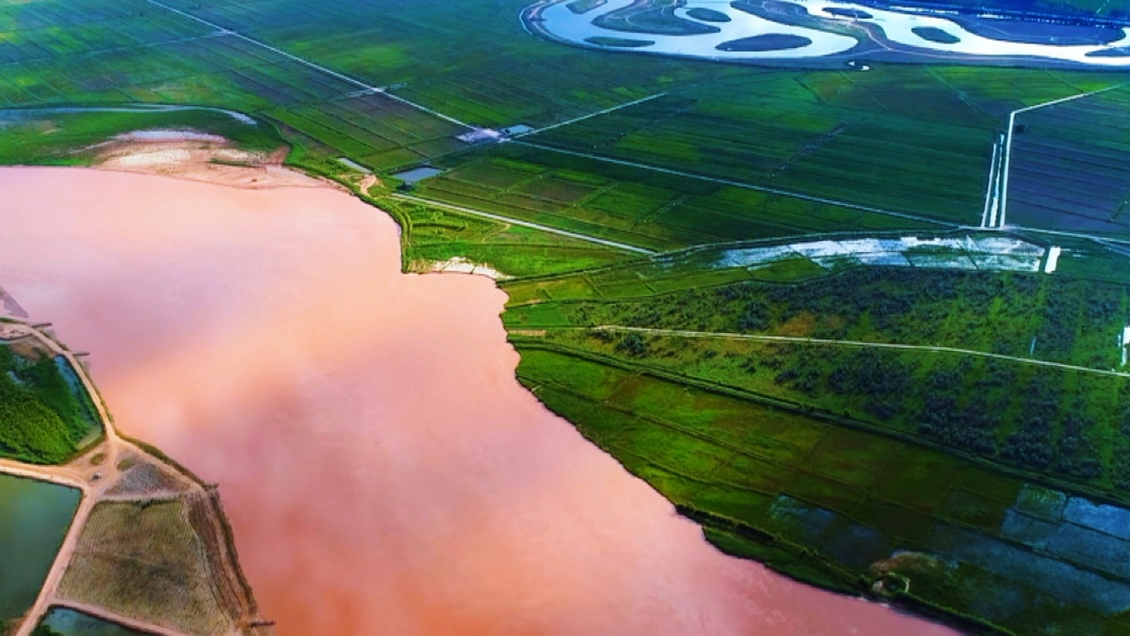 宁夏，嘉宾云集，观众热情如火