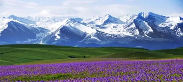 多元文化交融下的新疆地区发展研究