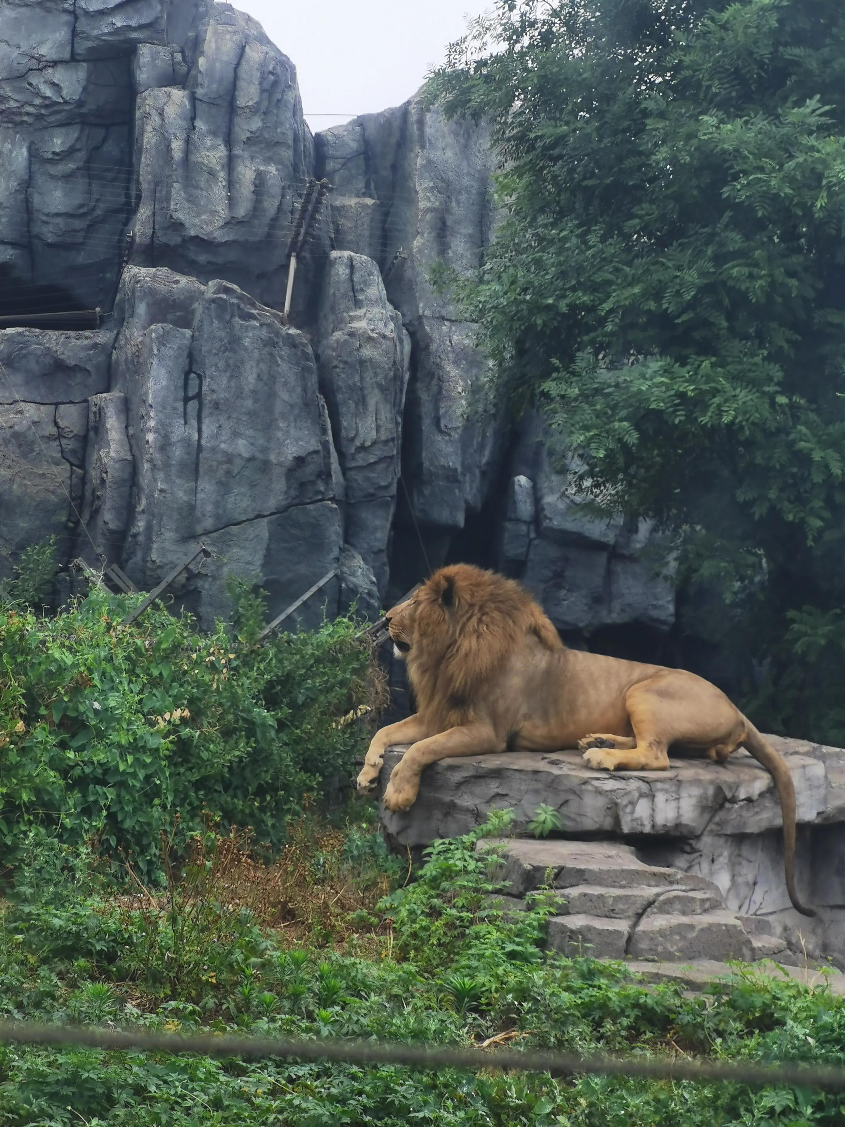 唐山，温馨日常的趣事集锦